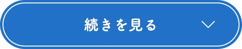 続きを見る