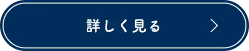 詳しく見る